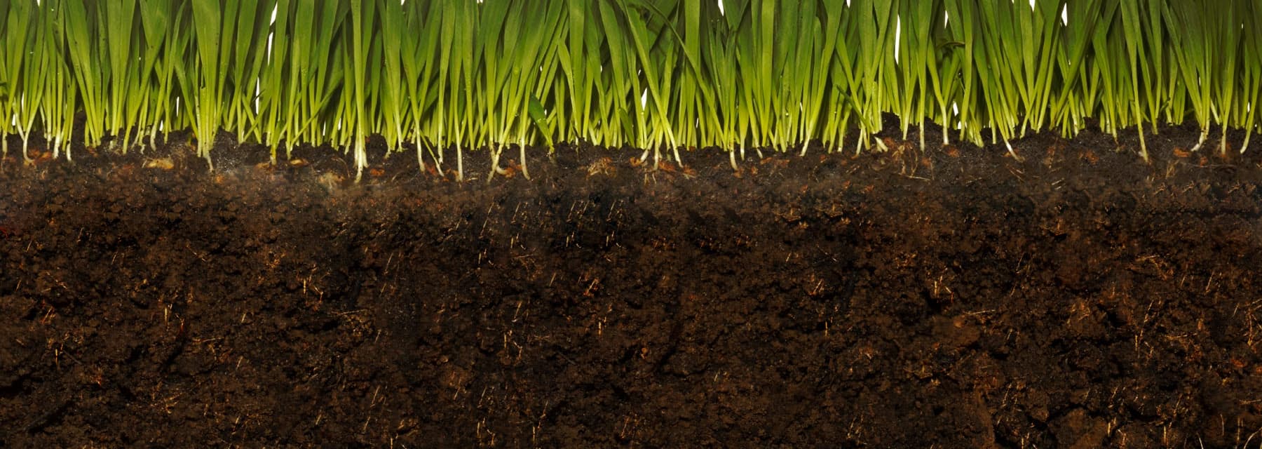 Sub-slab vapour sampling